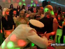 Nasty Nymphos Get Fully Foolish And Stripped At Hardcore Party