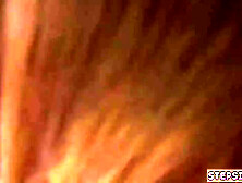 American Teenagers College Bang Stepbro Was Kinda Urinated But Attempted To Make The Hottest - Briar Rose - Briar rose