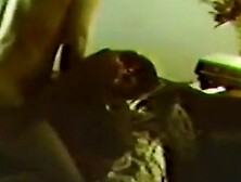 Tem piranha no aquario