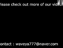 Dance Sexy Waveya Compilation+Bonus