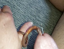 Worm Having Fun In My Cock