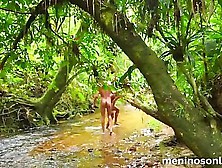 Largados E Pelados,  Naked In The Jungle