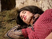 Incident in the Alps France 1979