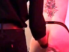 Bondage Beauties - Dominatrix Uses Variety of Tools to Subdue Her Slave Girl