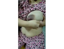 The Kitten Natividad Situation