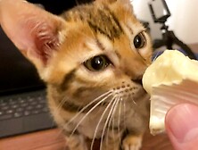 Twat will eat up yours with relish.