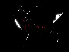 Graceful Tokyo's outside dirt