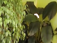 Blonde German granny in stockings gets a facial after a hard fuck