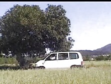 50321 Ferkel 2 (Full Movie)