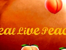 Thicc Wench LaLa Bunny Shows off her Holes