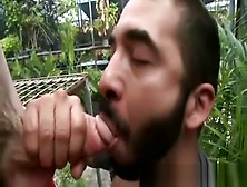 Papa Bear Sucks Cock In Public