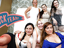 7 Cougars Se Réunissent