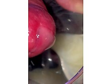 Small Dick Cum #4 : Cum cocktail