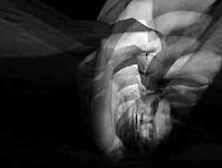 erotic music video wings