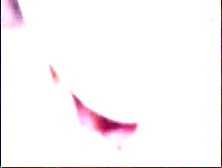 Mature enjoys toying