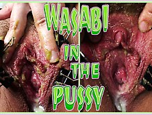 Pussy Masturbation With Wasabi Paste And Metal Clips - Naughty Masochist