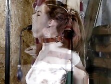 Terra Mizu Nose Hooked Bondage