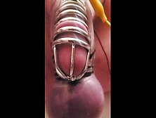 Estim Chastity Precum