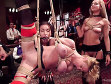 Dee Williams,  Sydney Cole And Gabriella Paltrova In Disorderly Anal Slaves Disciplined