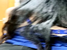 Brutal Desk Punishment For The Disobedient New Hire - Yome/sugar/杨晨晨