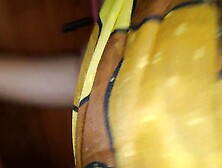 The maid was Plowed by the owner's son