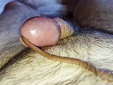 Worm Video 222