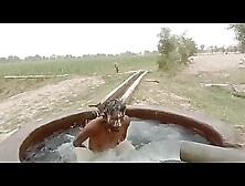 Desi Villager Bathing - Ep 2