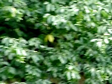 Sunkissed Goddess Blonde Bombshell Takes on a Stud in a Scorching Summer Fling