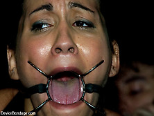 Miss Jade Indica Sabrina Fox in Jade Indica and Sabrina Fox Live,  2 - DeviceBondage