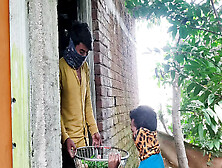 A Romantic Unique Story Of A Boy Selling Vegetables And A Home W