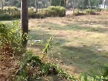 Incredible Lolipop Drenched Into Cum - Lolipop Mark Pirson