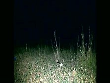 french gothic girl gets gangbanged by strangers in the night in