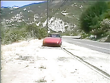 Leather Harness & Steel Rivets