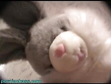 Cassandra busty Slovenia