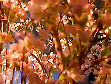 All She Can Think Of Is Monsterous Cock