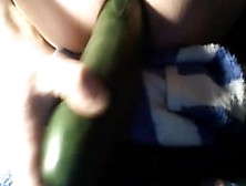 Cucumber Fun