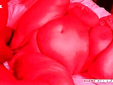 VERONICA JASMINE GETTING EBONY WANG DEEP INSIDE HER