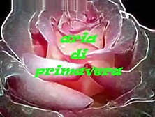 Amazing Homemade record with cuckold scenes