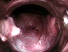 pornographic video files with one penis and two female genitalia