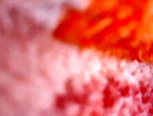 My sister's feet lick6