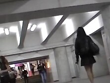 Steal a look up her petticoat