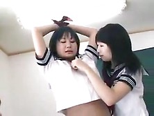 Two pets and play of a mistress