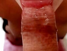 Point Of View Doggy Style Oral Sex And Cummed On Her Incredible Sexy Face