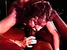 Diamond Collection 77 - Close Shave. avi