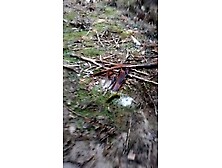 Trucker Takes a Shit Outdoors in Front of Mates