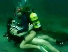 Scuba horny on the reef