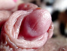 Extreme Closeup On My Large Pulsating Clit Head