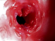 Large climax inside the asshole! Astonishing groaning climax and a lot of semen!