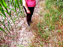 111 Strokes On Her Breasts In Cornfield