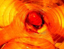 feeding the crickets